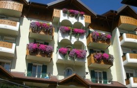 Hotel Alpotel Dolomiten - Molveno-1